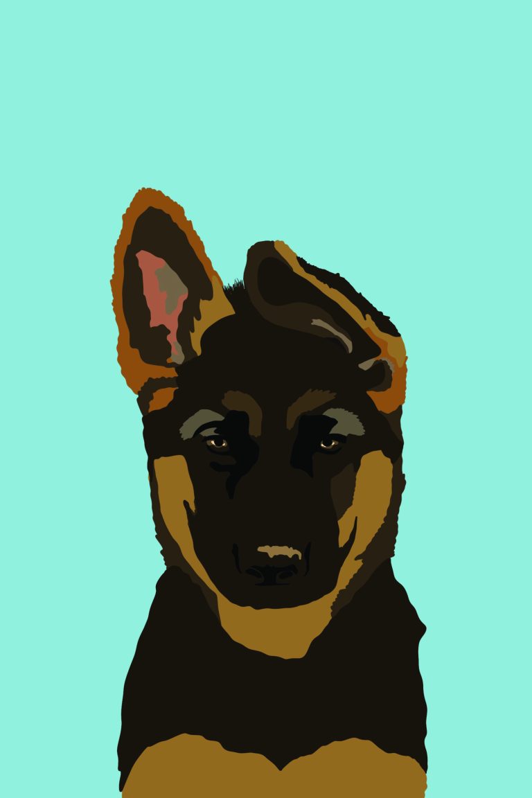 dog